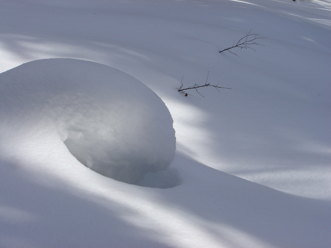 Snow